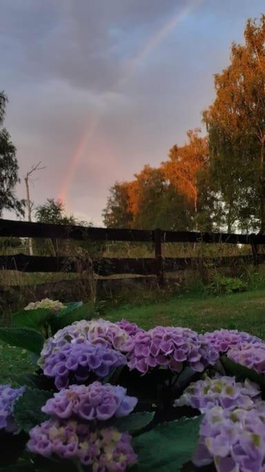 Poggenhagen Urlaub Mitten In Der Natur Нойштадт-ан-дер-Рюбенберґе Екстер'єр фото