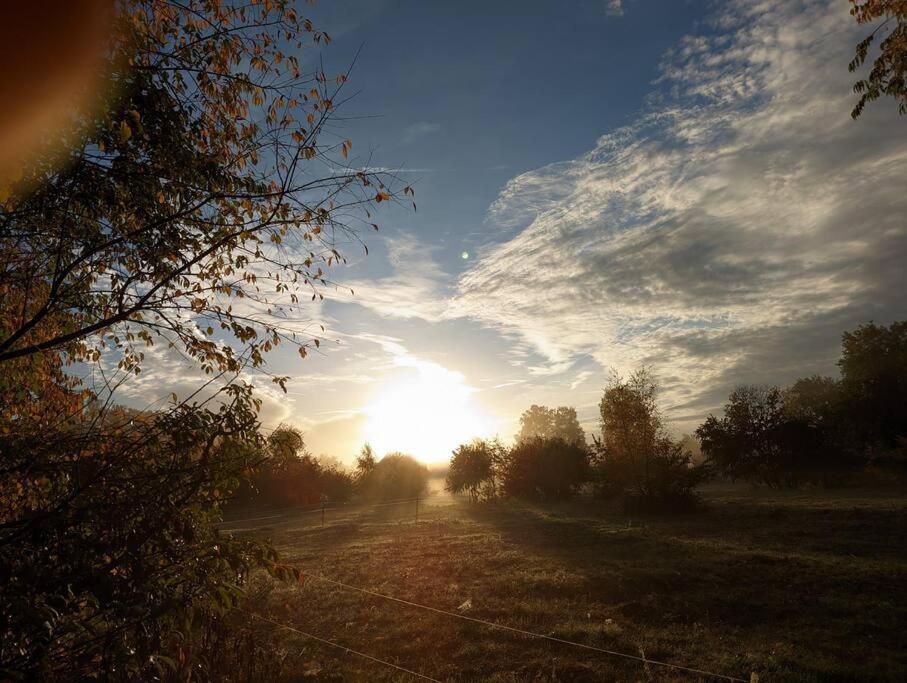 Poggenhagen Urlaub Mitten In Der Natur Нойштадт-ан-дер-Рюбенберґе Екстер'єр фото